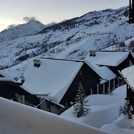 Stella Alpina *